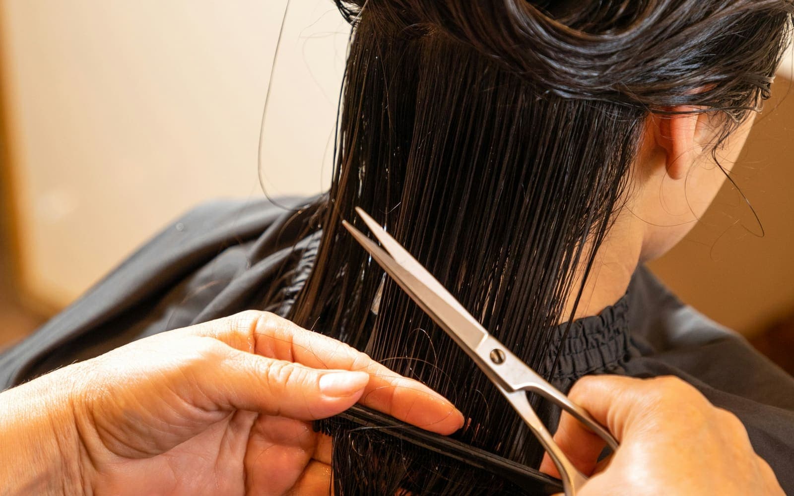 A stylist sectioning wet hair with a comb and cutting a precision line with shears